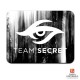 Коврик с логотипом Team Secret