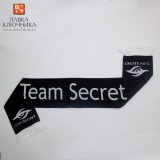 Шарф с логотипом Team Secret